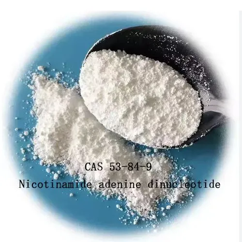 99 ٪ نیکوتین آمید آدنین دینوکلئوتید NAD برای CAS ضد پیری 53-84-9