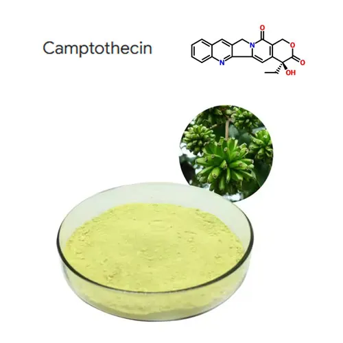 خلوص بالا 98 ٪ Camptothecin Plant Powerract CAS 7689-03-4