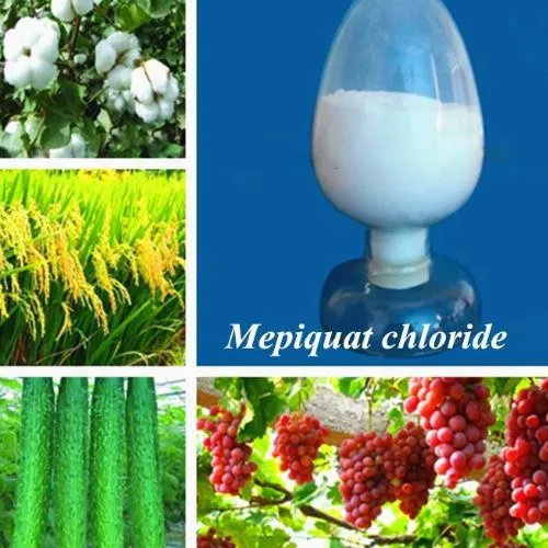 رکود رشد گیاه کلرید mepiquat (px) CAS 24307-26-4